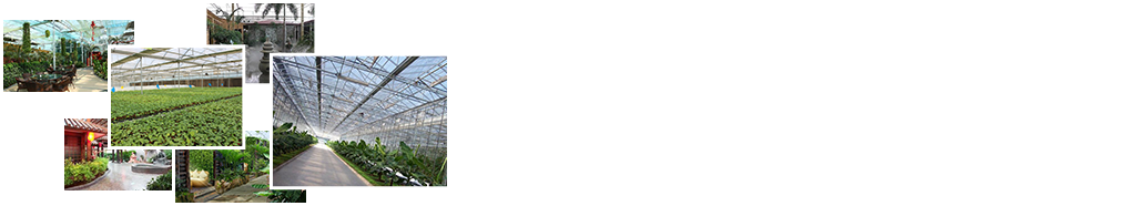 24小時(shí)免費咨詢(xún)、免費技術(shù)指導