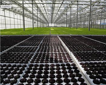 實(shí)力雄厚，品質(zhì)保證！